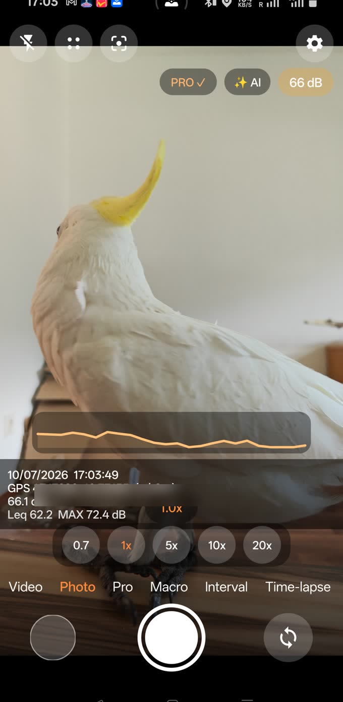 DecibelCam bei 66 dB, Pegel orange