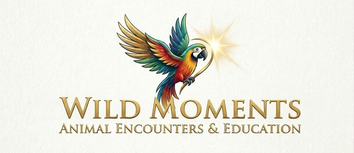 WILD Moments Logo - Papageien Erlebnisse und Bildung in Tirol