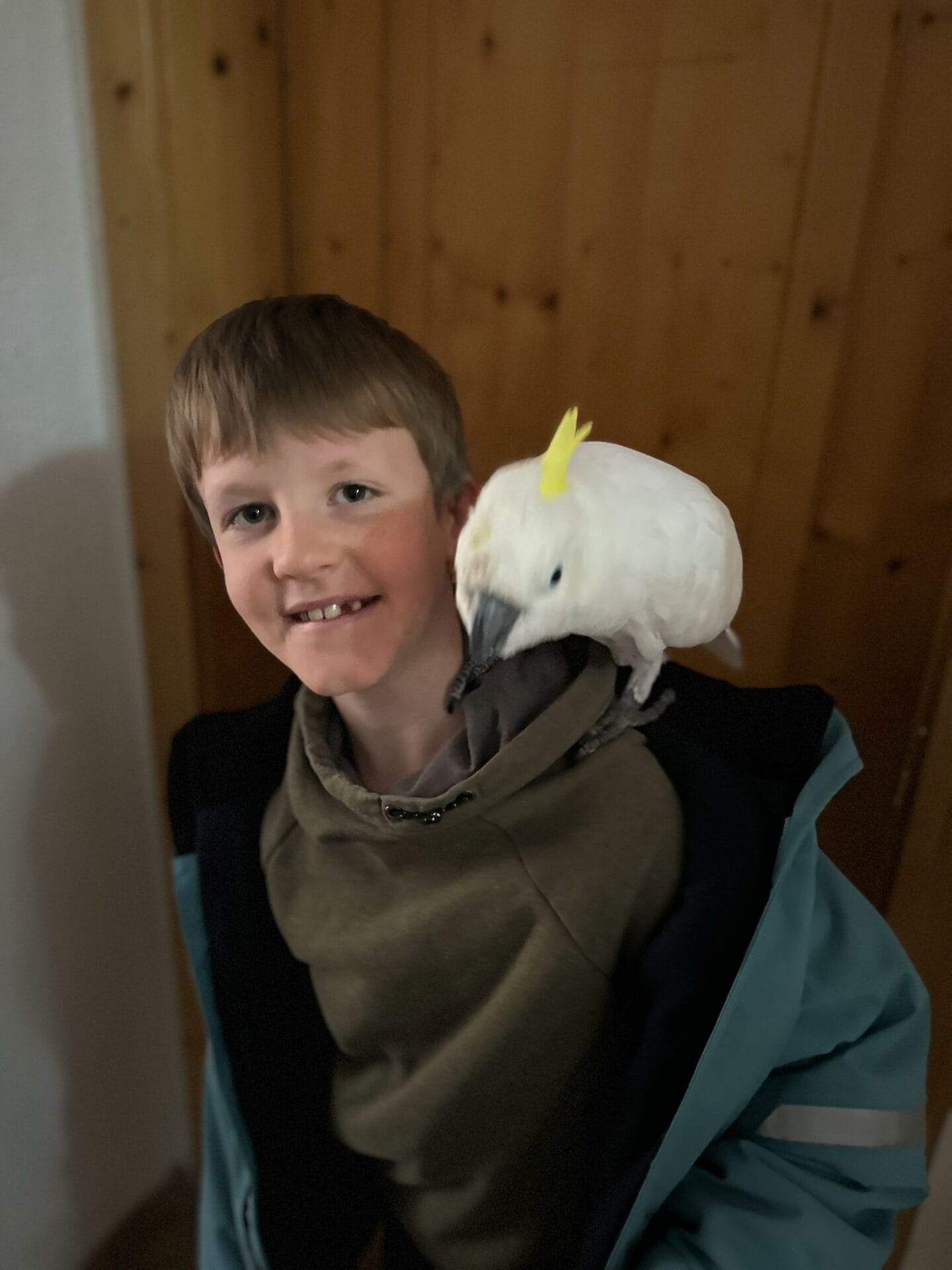 Ein Kind bei einer ruhigen Begegnung mit einem Kakadu
