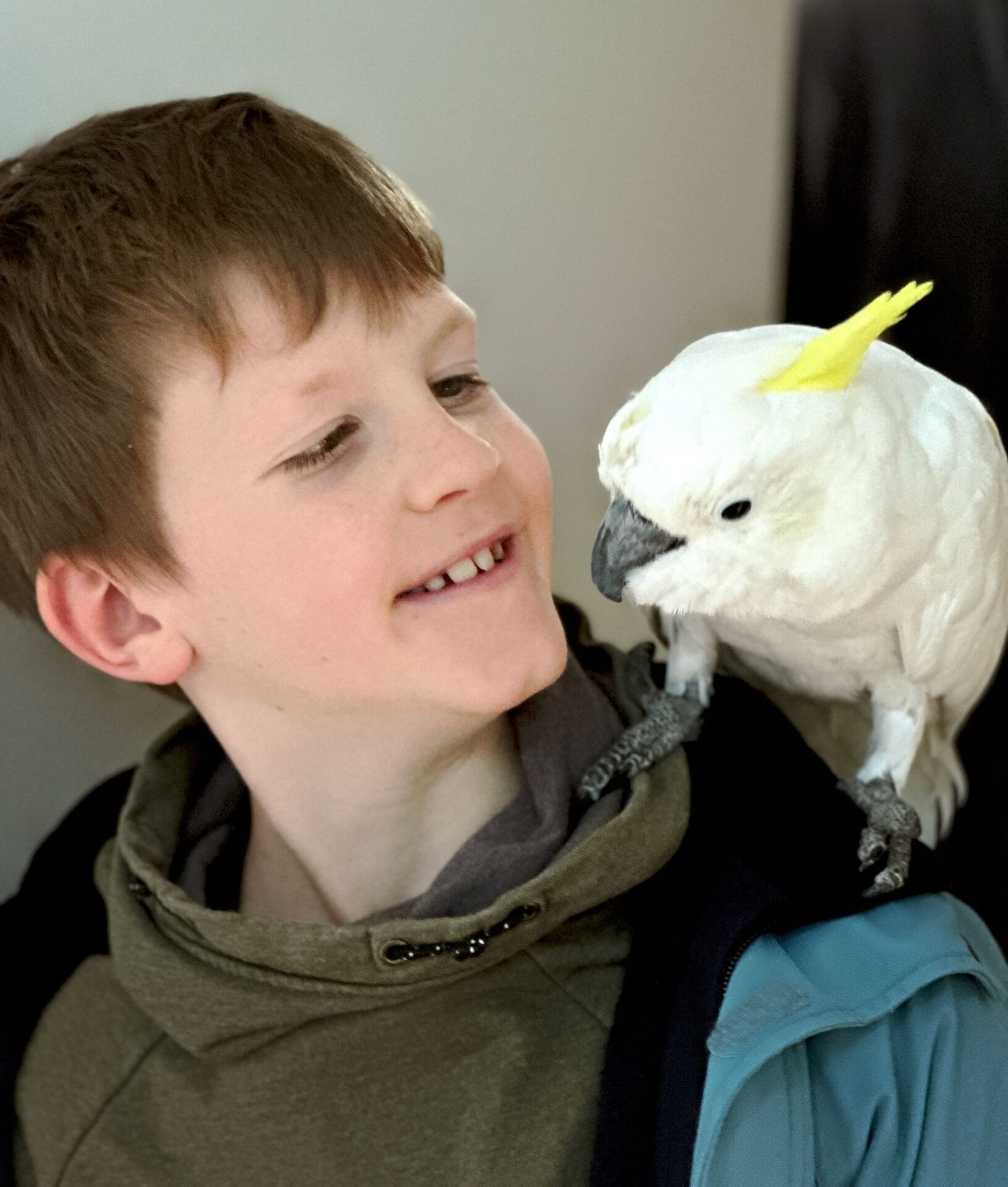 Jay mit Kakadu Skippy auf der Schulter – Papageien-Erlebnis wild moments Tirol
