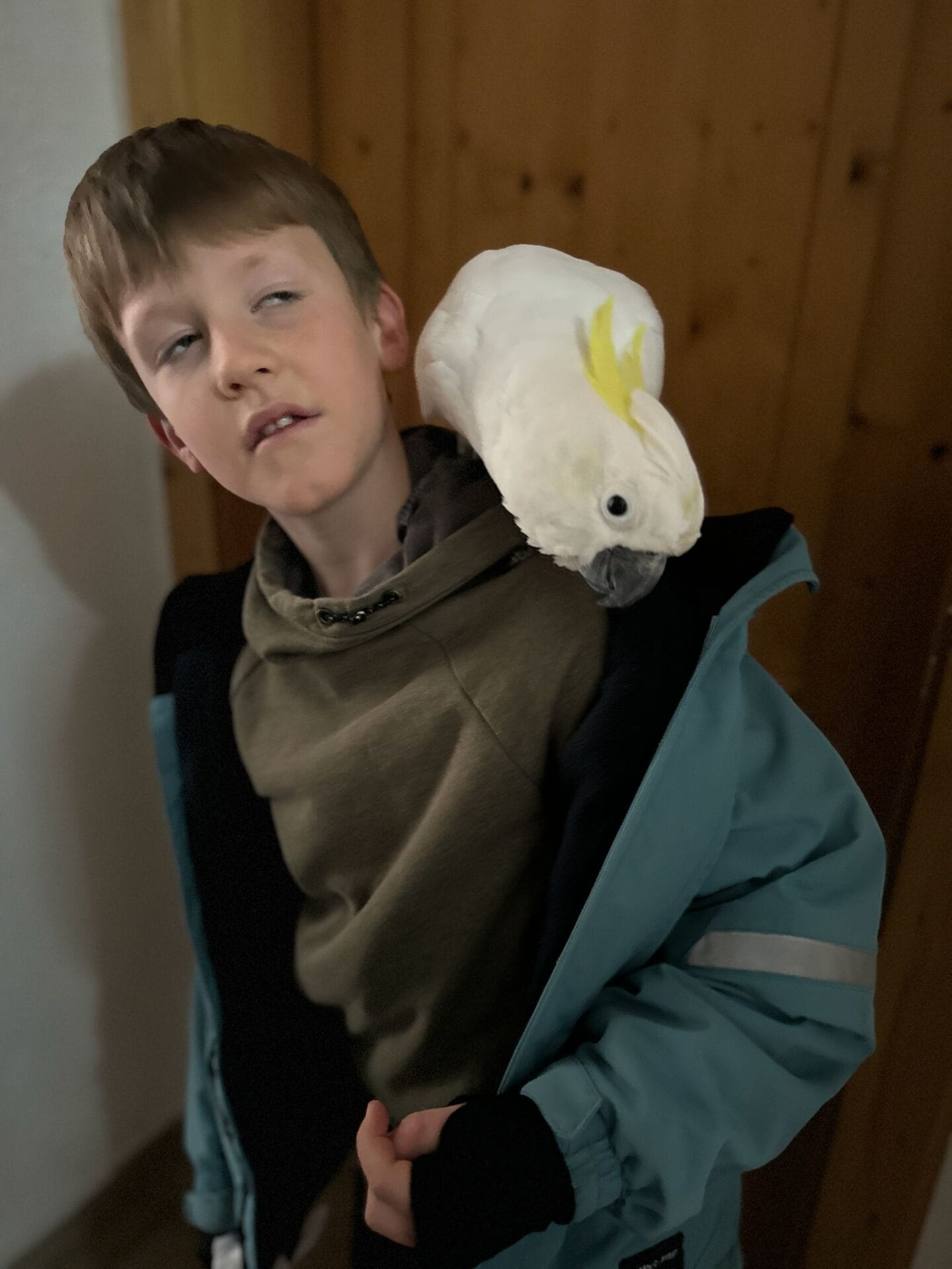 WILD und Skippy auf dem Holzstoß mit Tiroler Bergpanorama