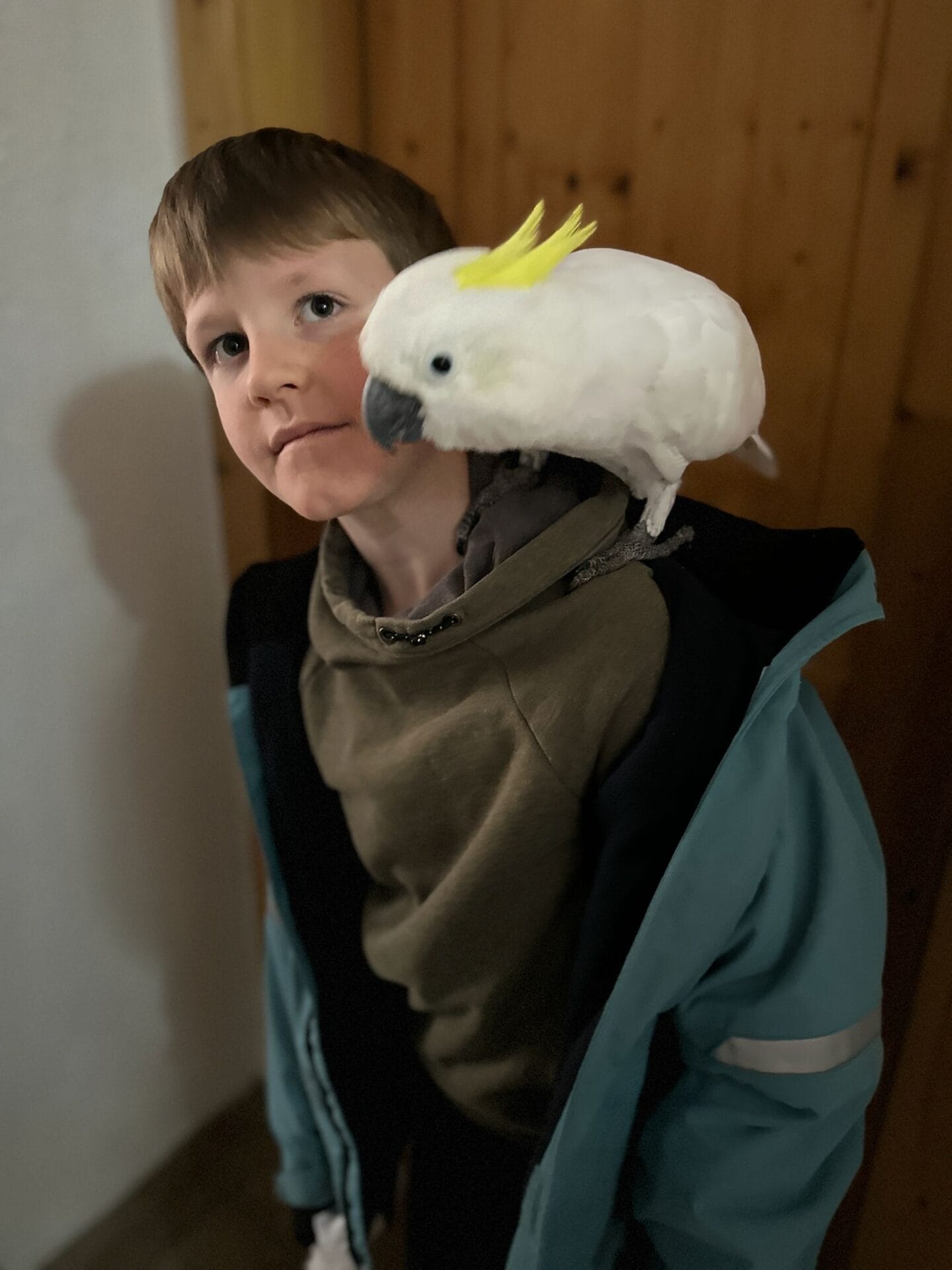 Skippy pickt an Jays Nase – magischer Moment mit Kakadu in Tirol