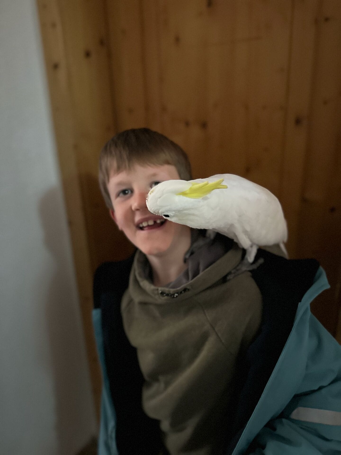 Freude bei einer Kakadu-Begegnung