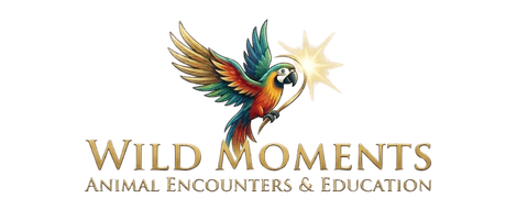 Wild Moments Logo
