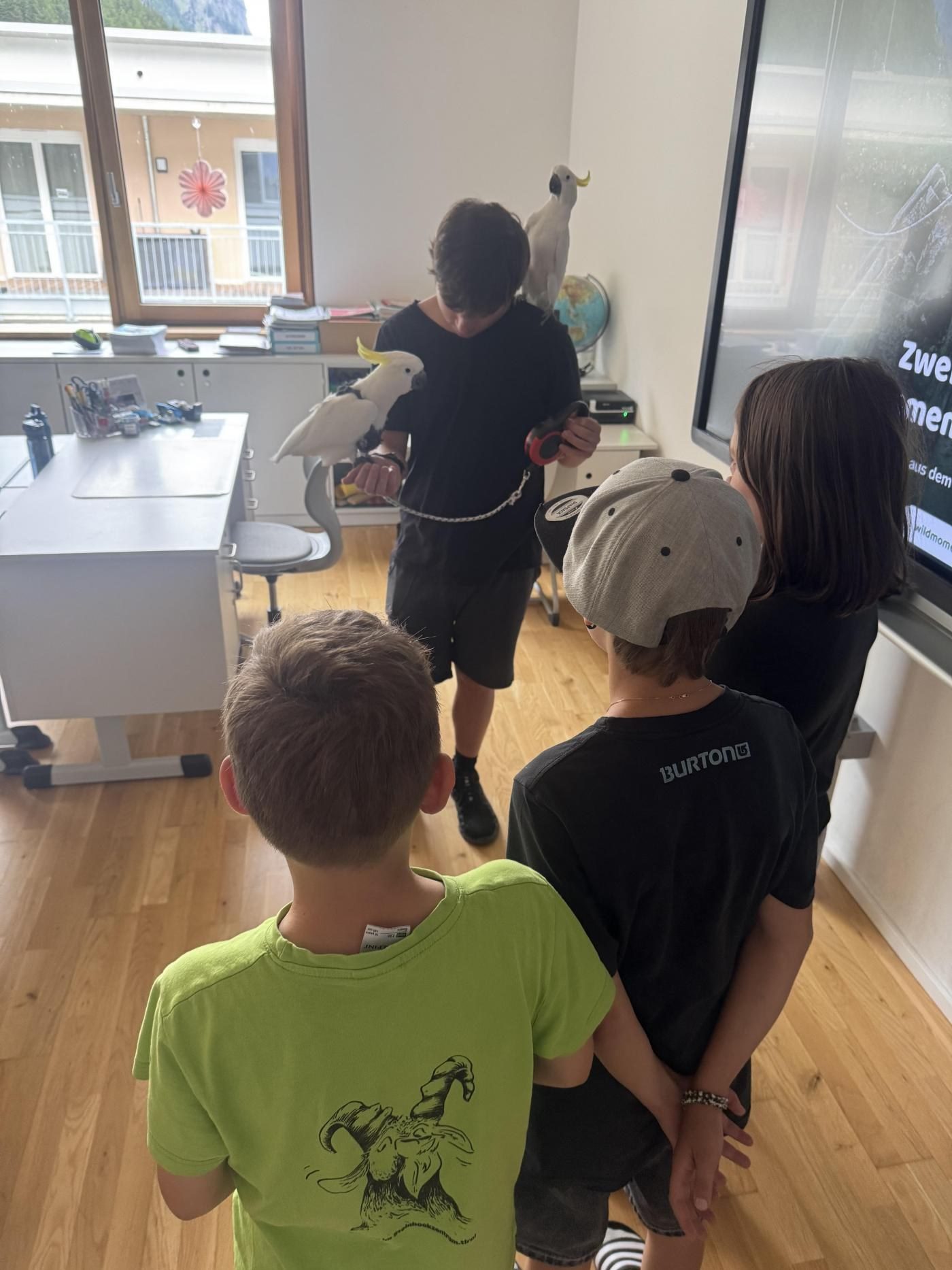 Kinder beobachten die beiden Gelbhaubenkakadus aus nächster Nähe