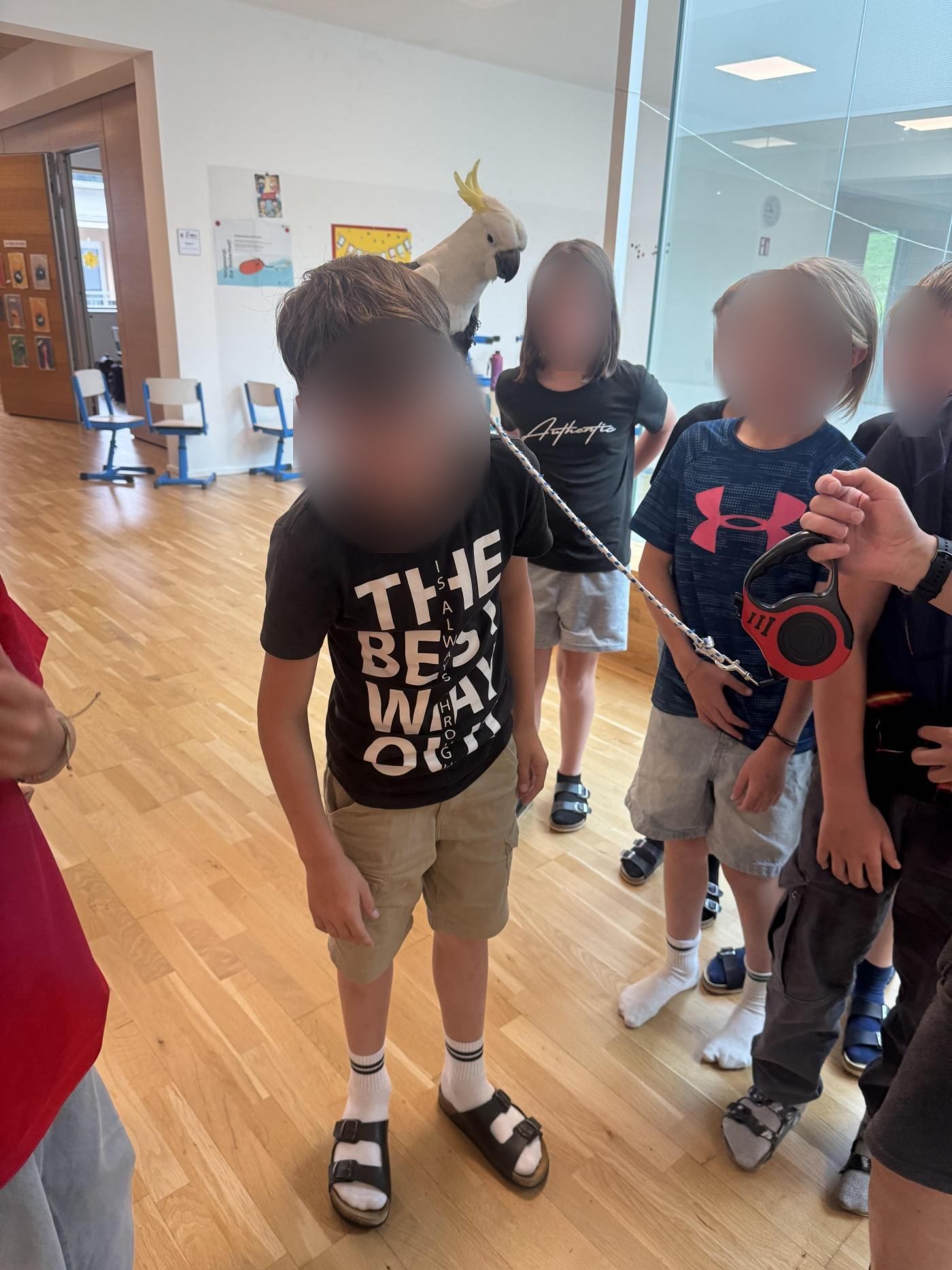 Kakadu WILD sitzt auf der Schulter eines Schülers – Tierbegegnung im Klassenzimmer